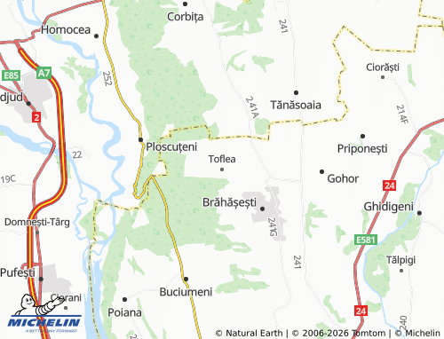 MICHELIN Toflea map - ViaMichelin