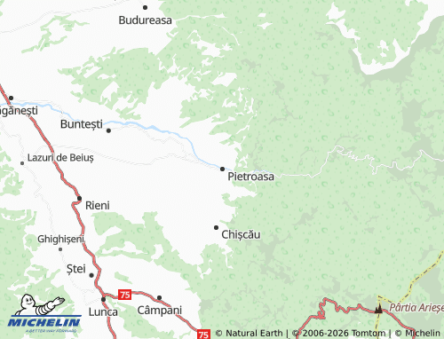 MICHELIN Pietroasa map - ViaMichelin