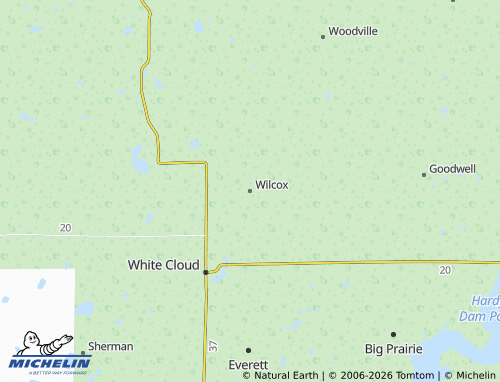 Mapa MICHELIN Wilcox - ViaMichelin