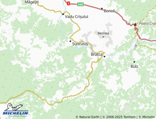 MICHELIN Bălnaca-Groși map - ViaMichelin