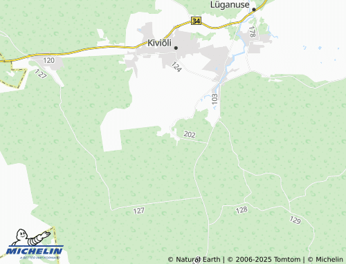 MICHELIN Soonurme map - ViaMichelin