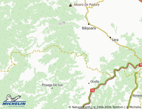 Mapa MICHELIN Lunca Largă - ViaMichelin
