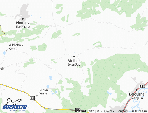 MICHELIN Vidibor map - ViaMichelin