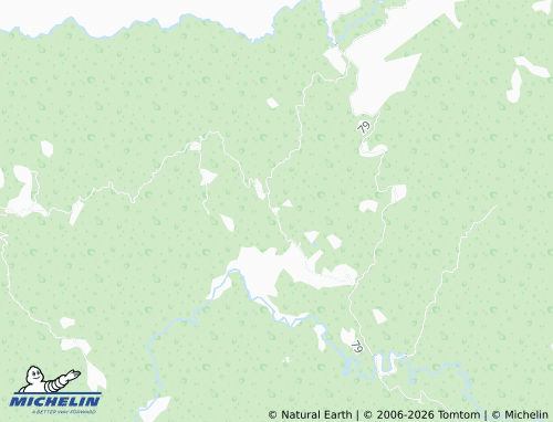 MICHELIN Las Flechas map - ViaMichelin