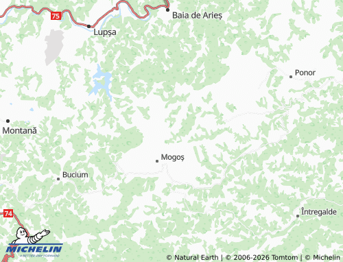 Mappa MICHELIN Valea Cocești - ViaMichelin