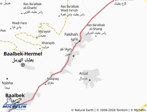 Mapa MICHELIN al-'Ayn - ViaMichelin