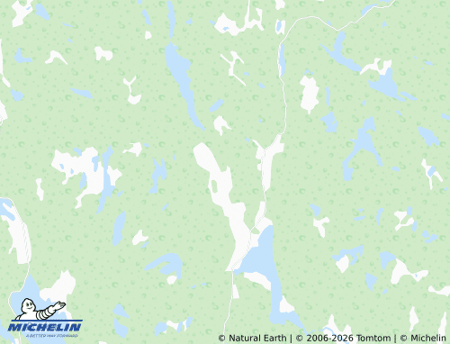 Carte MICHELIN Slobyn - ViaMichelin