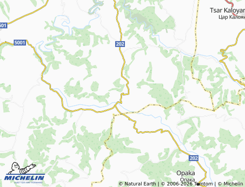 Mappa MICHELIN Katselovo - ViaMichelin