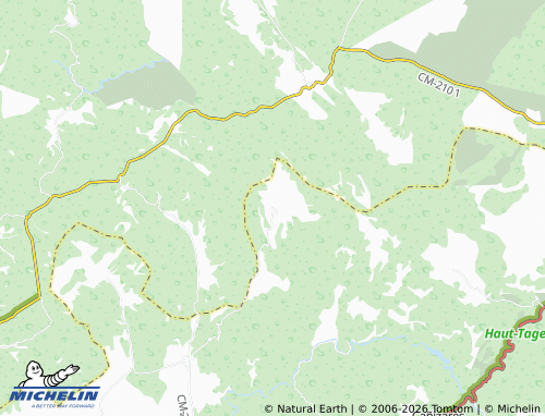 MICHELIN El Pozuelo map - ViaMichelin