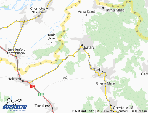 MICHELIN Tămășeni map - ViaMichelin