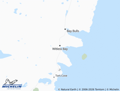 Kaart MICHELIN Witless Bay - ViaMichelin