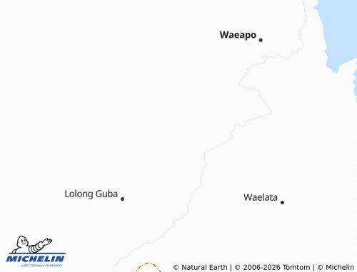 Mappa MICHELIN Tifu - ViaMichelin