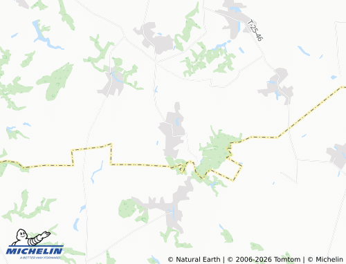 Mappa MICHELIN Dashchenky - ViaMichelin