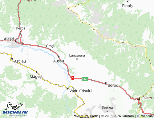 MICHELIN Luncșoara map - ViaMichelin