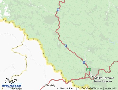 MICHELIN-Landkarte Brashlyan - ViaMichelin