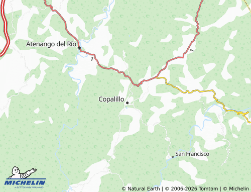 Carte MICHELIN Tenanzingo - ViaMichelin