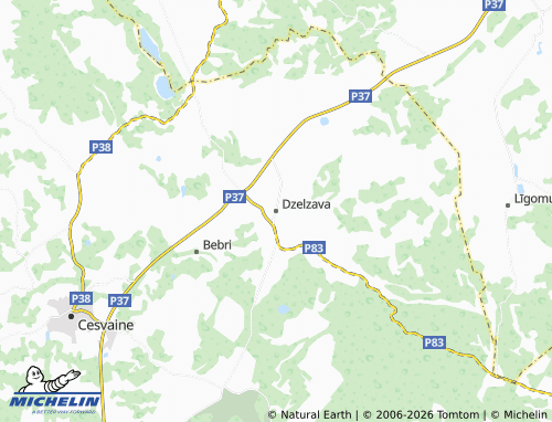 Mapa MICHELIN Dzelzavas pagasts - ViaMichelin
