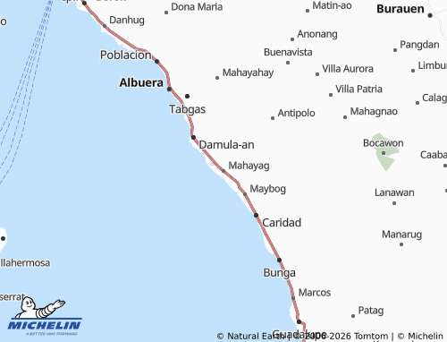 MICHELIN Mahayag map - ViaMichelin