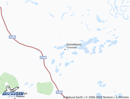 MICHELIN Gonokhovo map - ViaMichelin