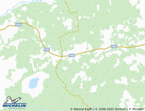 MICHELIN Bol'shaya Kosikha map - ViaMichelin