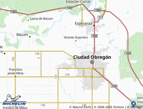 Mapa MICHELIN Armando López Nogales - ViaMichelin