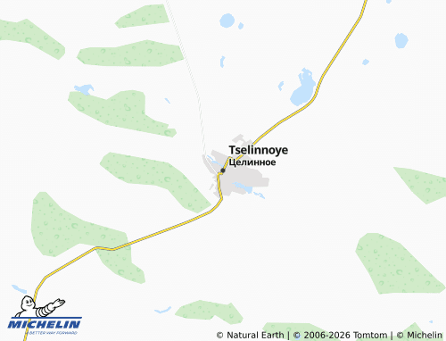 MICHELIN-Landkarte Tselinnoye - ViaMichelin