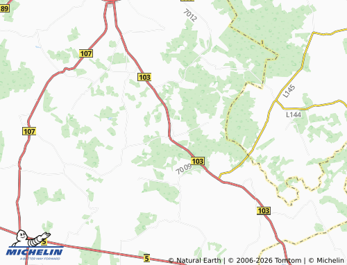 Mappa MICHELIN Schönebeck - ViaMichelin