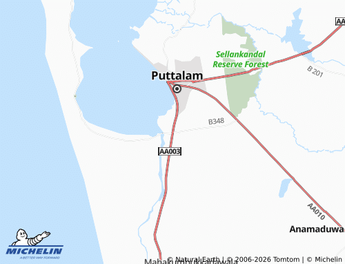 Mappa MICHELIN Palaviya - ViaMichelin