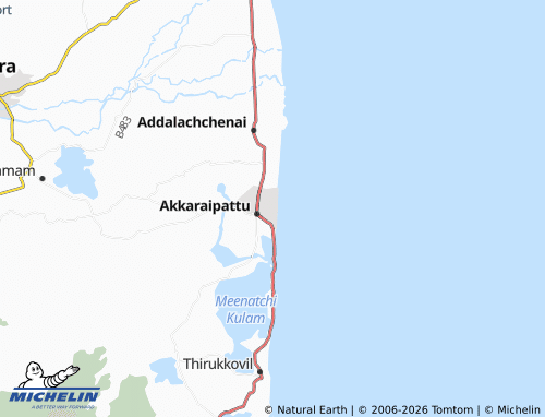 Mappa MICHELIN Town Division 03 - ViaMichelin