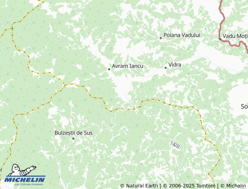 MICHELIN Vidrișoara map - ViaMichelin