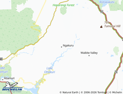 Mapa MICHELIN Ngakuru - ViaMichelin