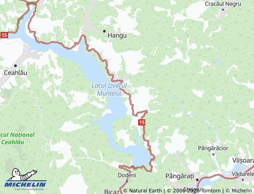 Mapa MICHELIN Ruginești - ViaMichelin