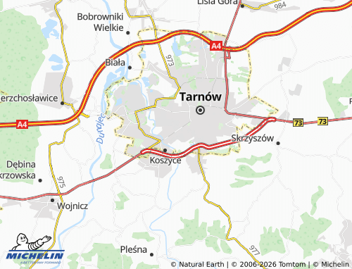 MICHELIN Krakowska map - ViaMichelin