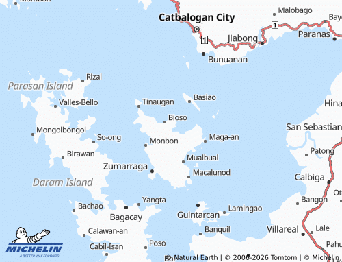 MICHELIN Ibarra map - ViaMichelin