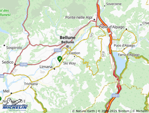 MICHELIN Castion map - ViaMichelin