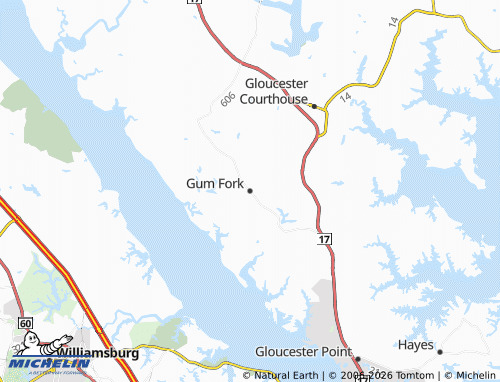 Mappa MICHELIN Gum Fork - ViaMichelin