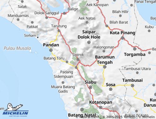 MICHELIN Tapanuli Selatan map - ViaMichelin