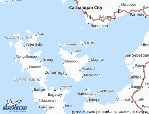 Mappa MICHELIN Ibarra - ViaMichelin