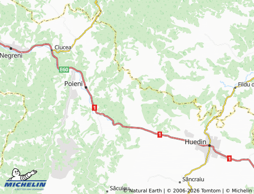 Mappa MICHELIN Hodișu - ViaMichelin