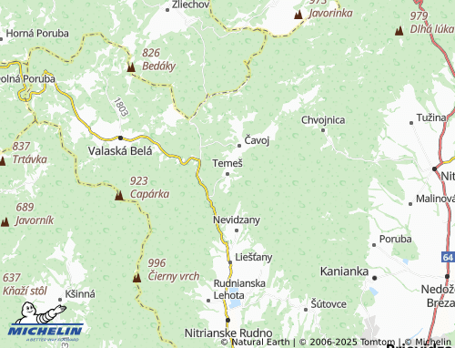Mappa MICHELIN Temeš - ViaMichelin