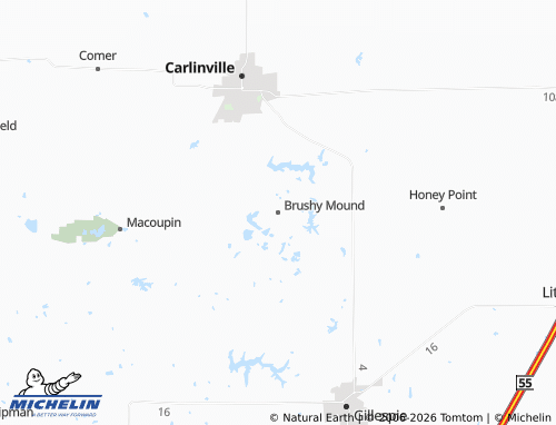 Mapa MICHELIN Brushy Mound - ViaMichelin