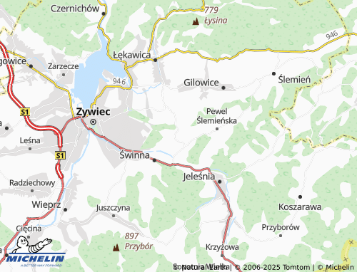 MICHELIN Rychwałdek map - ViaMichelin