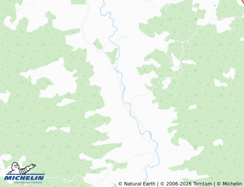 MICHELIN San Antonio de Nevárez map - ViaMichelin