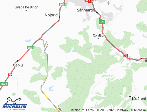 Carte MICHELIN Șauaieu - ViaMichelin