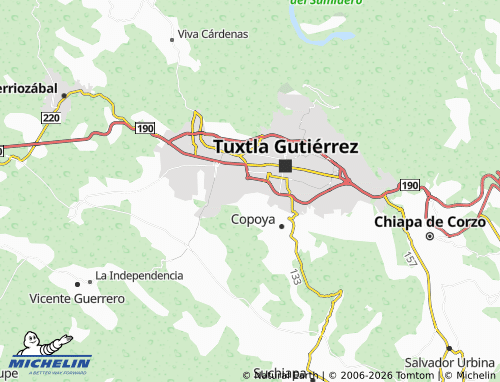 Mapa MICHELIN Bosques del Sur Segunda Sección - ViaMichelin