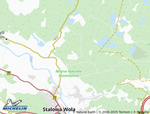 MICHELIN Goliszowiec map - ViaMichelin