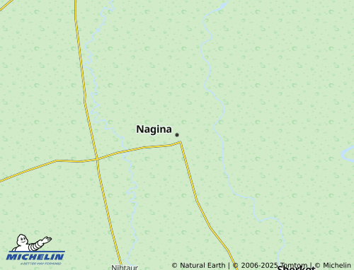 Carte MICHELIN Nagina - ViaMichelin