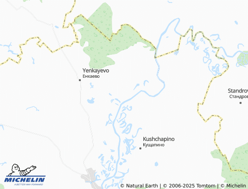 MICHELIN Purgasovo map - ViaMichelin