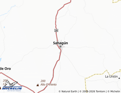 Carte MICHELIN Sahagún - ViaMichelin