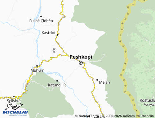 MICHELIN Tomin map - ViaMichelin